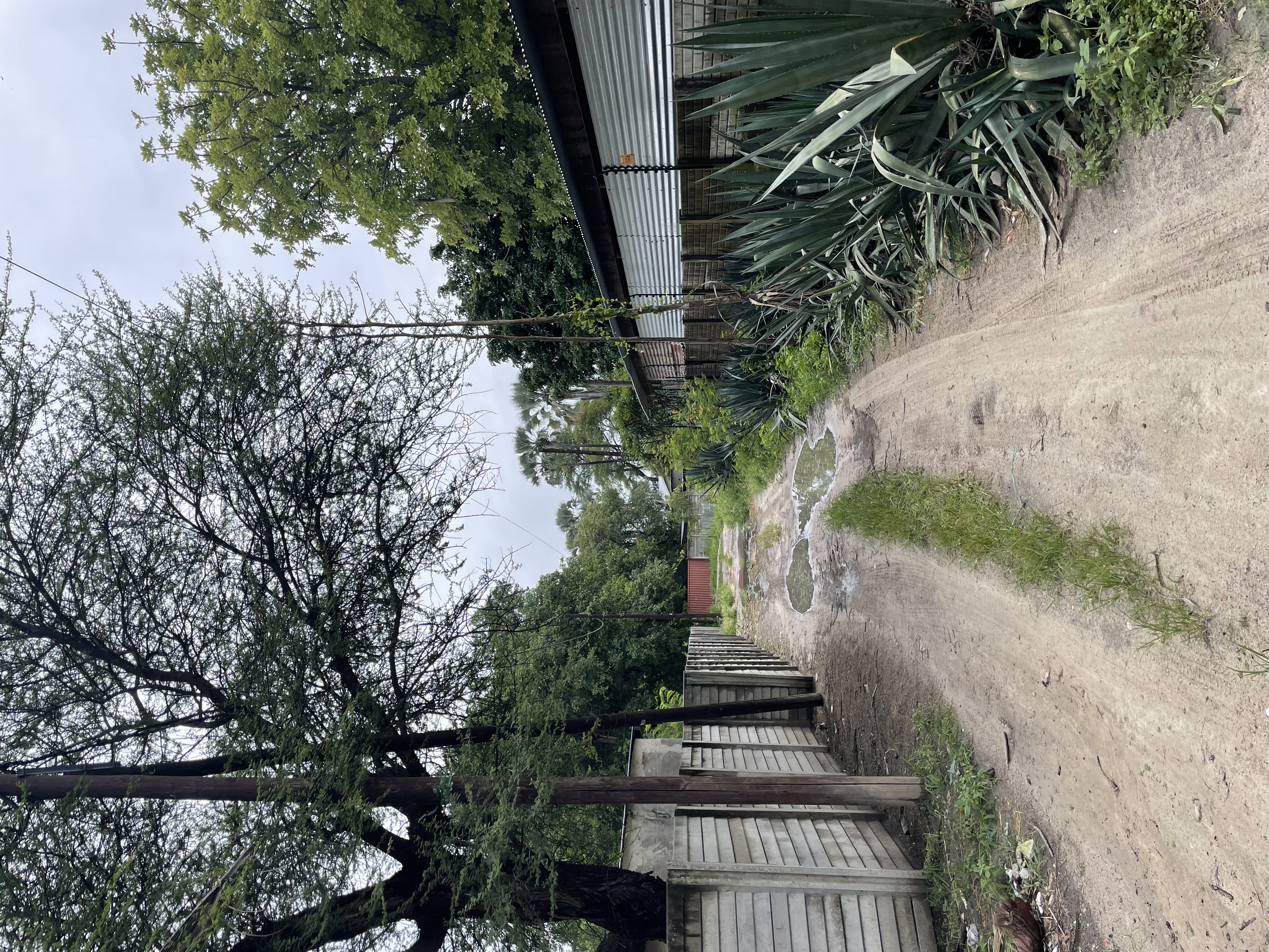 Field Research 152