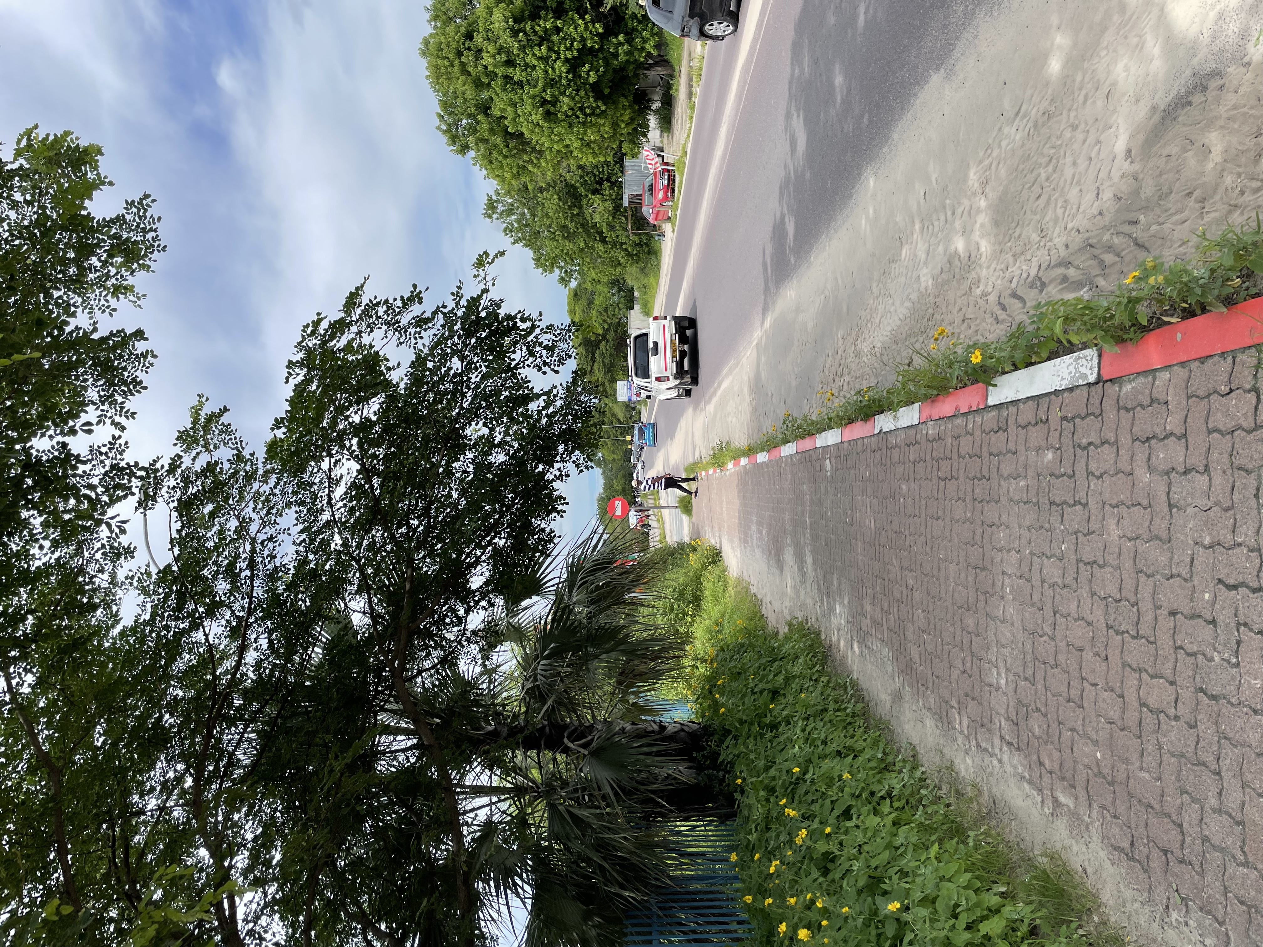 Field Research 156