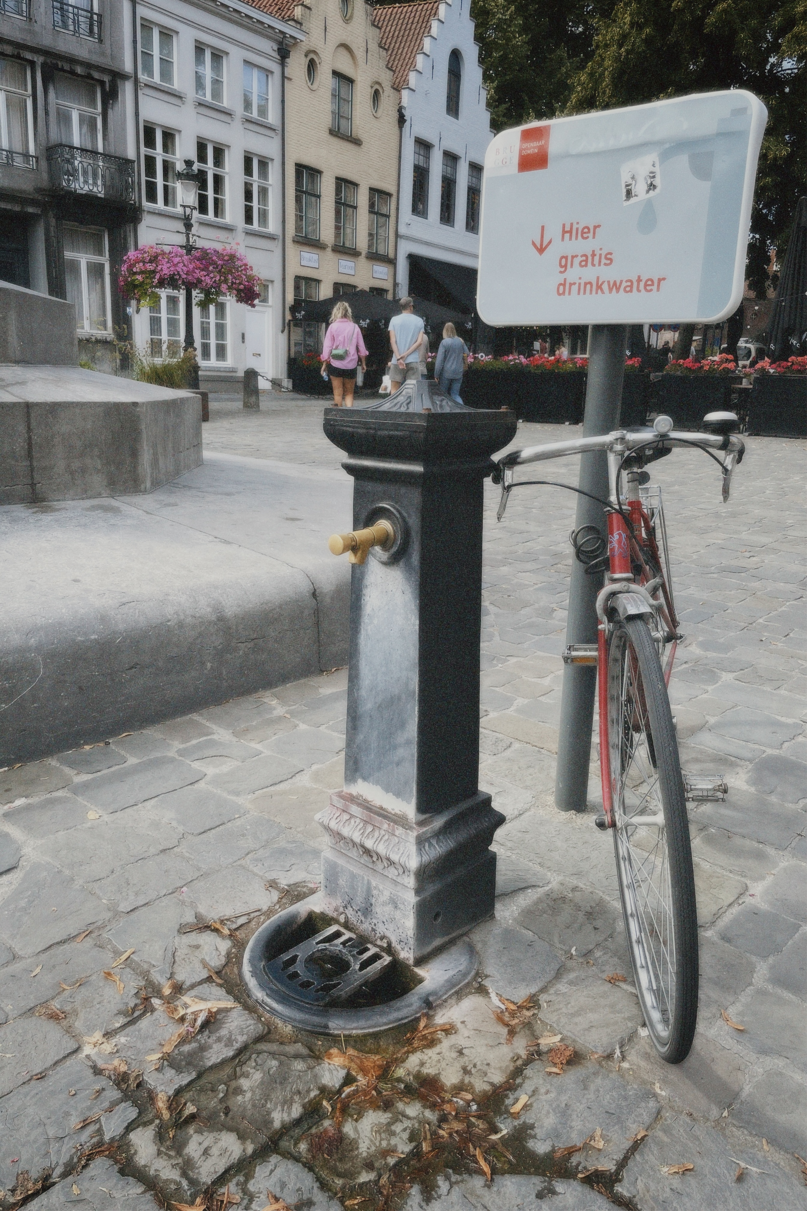 Field Research 168