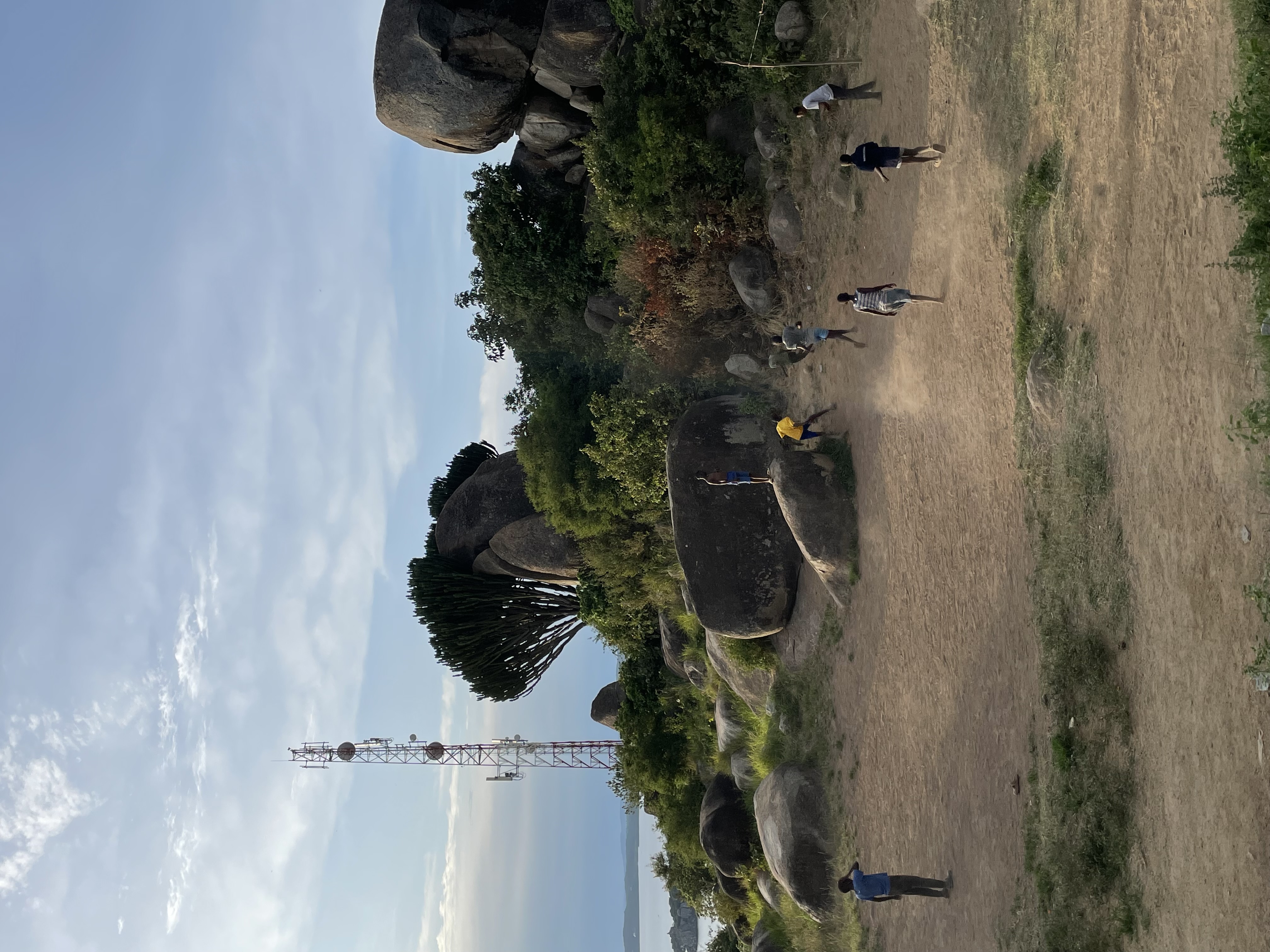 Field Research 204