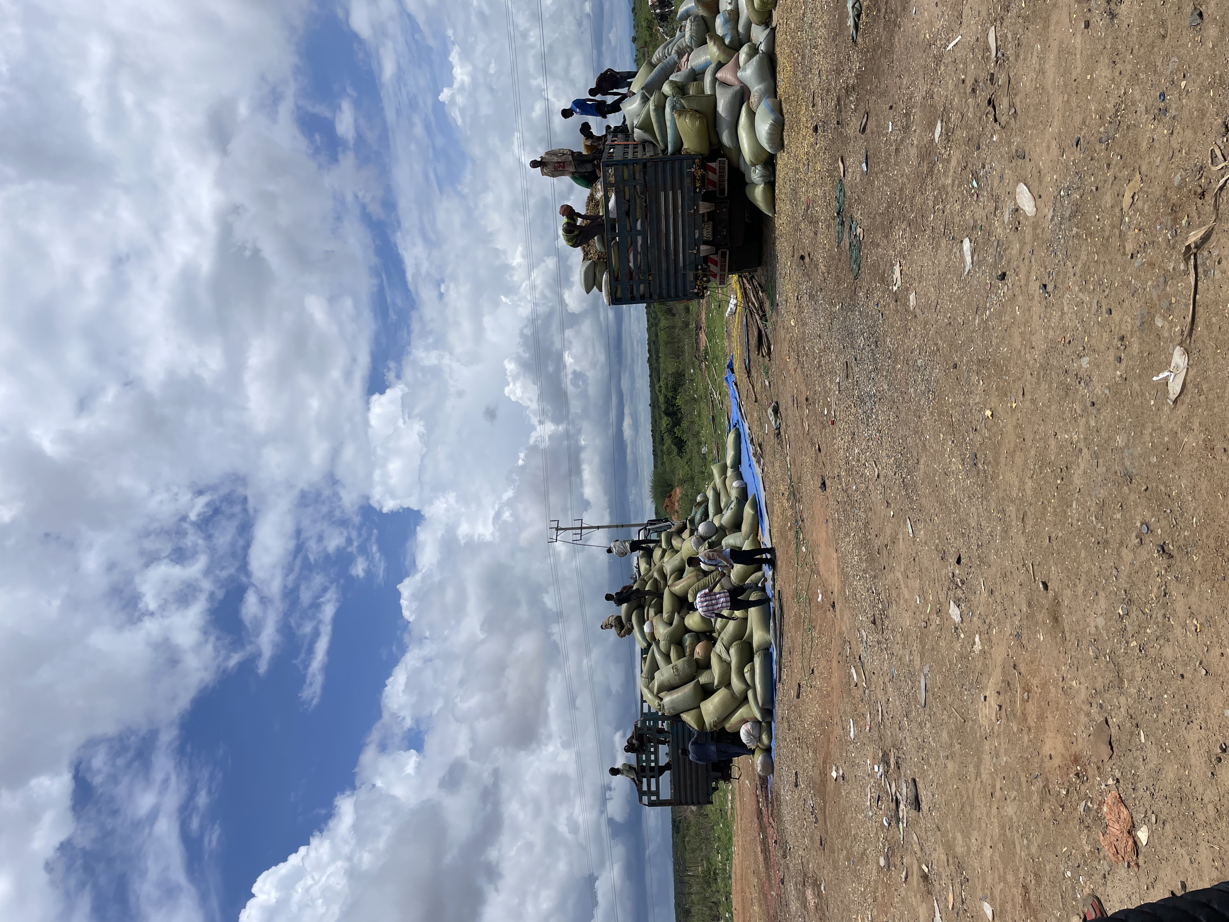 Field Research 206
