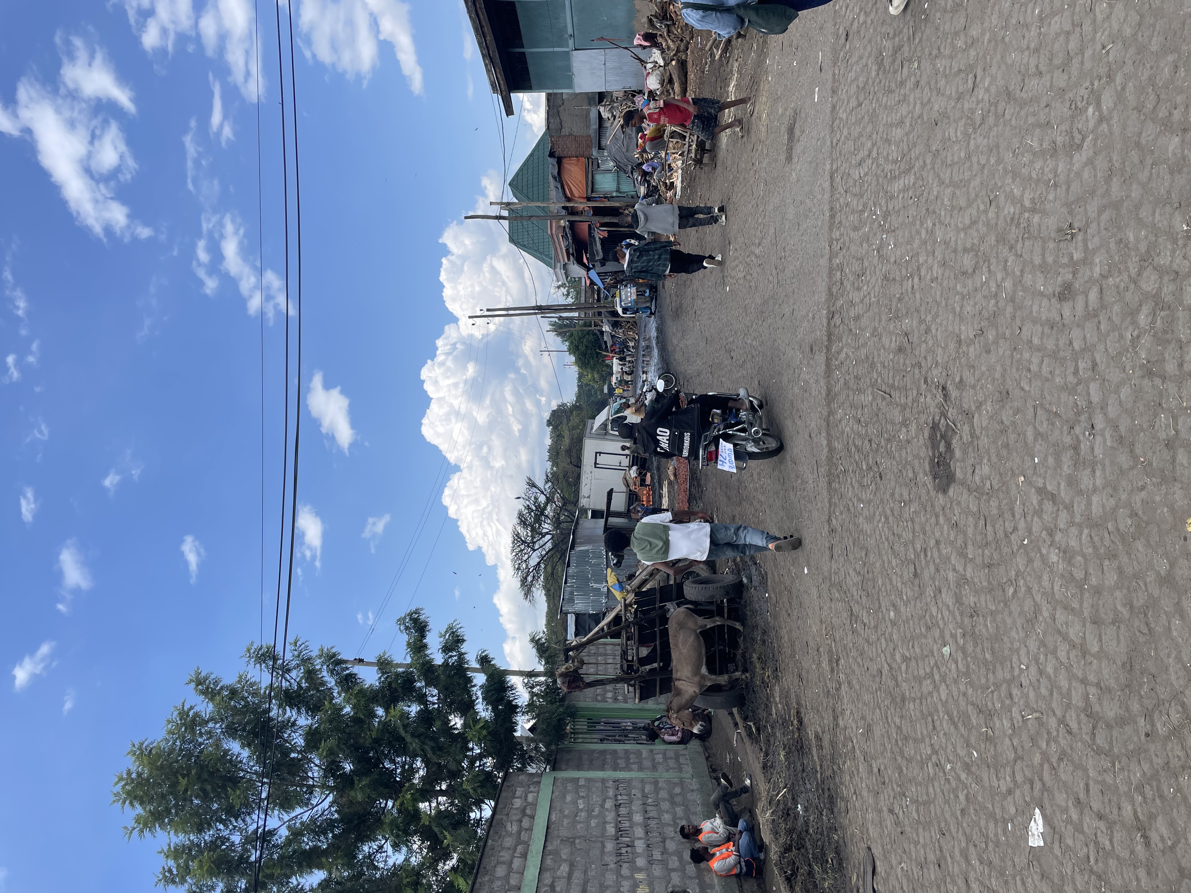 Field Research 226