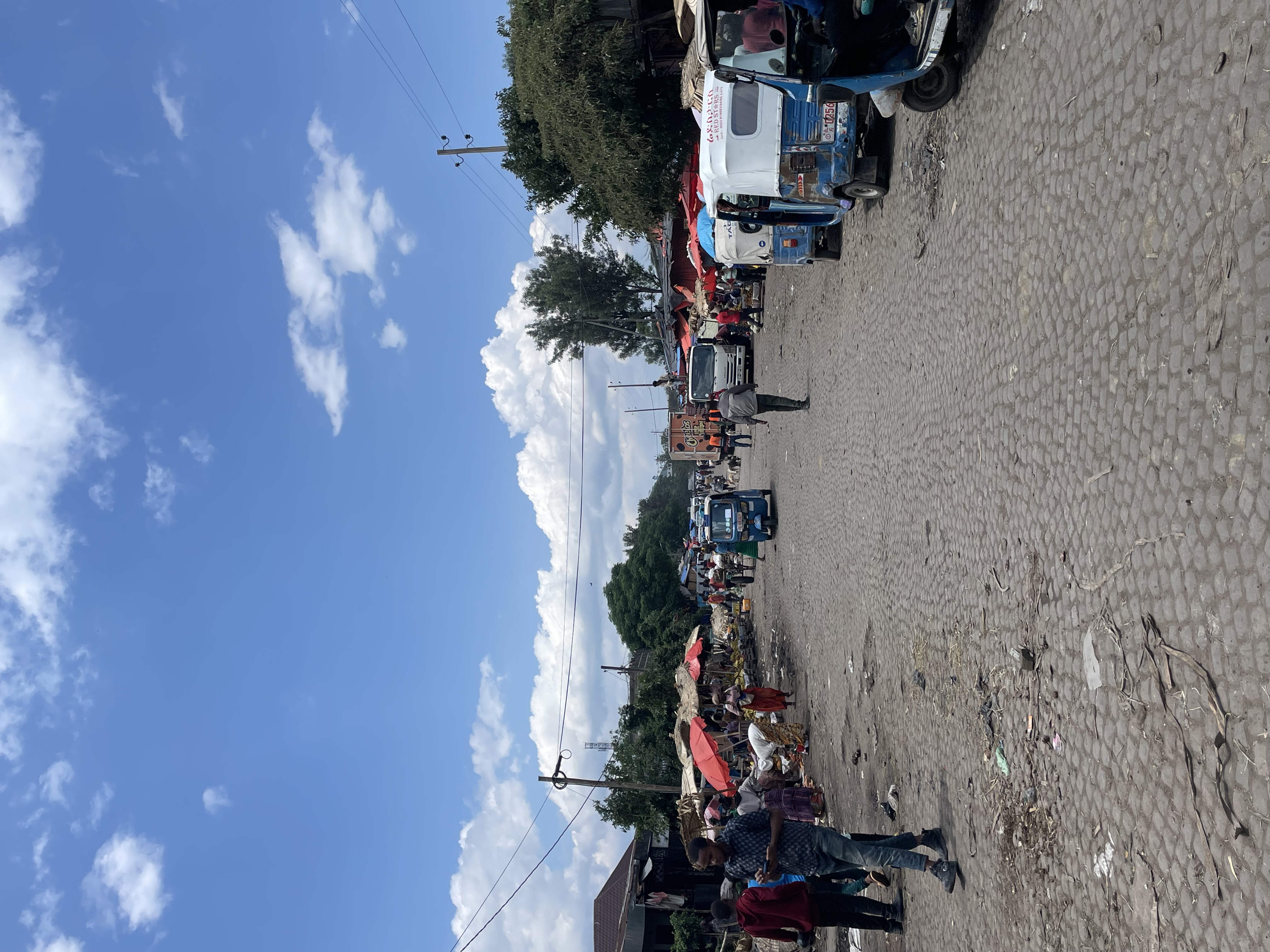 Field Research 227
