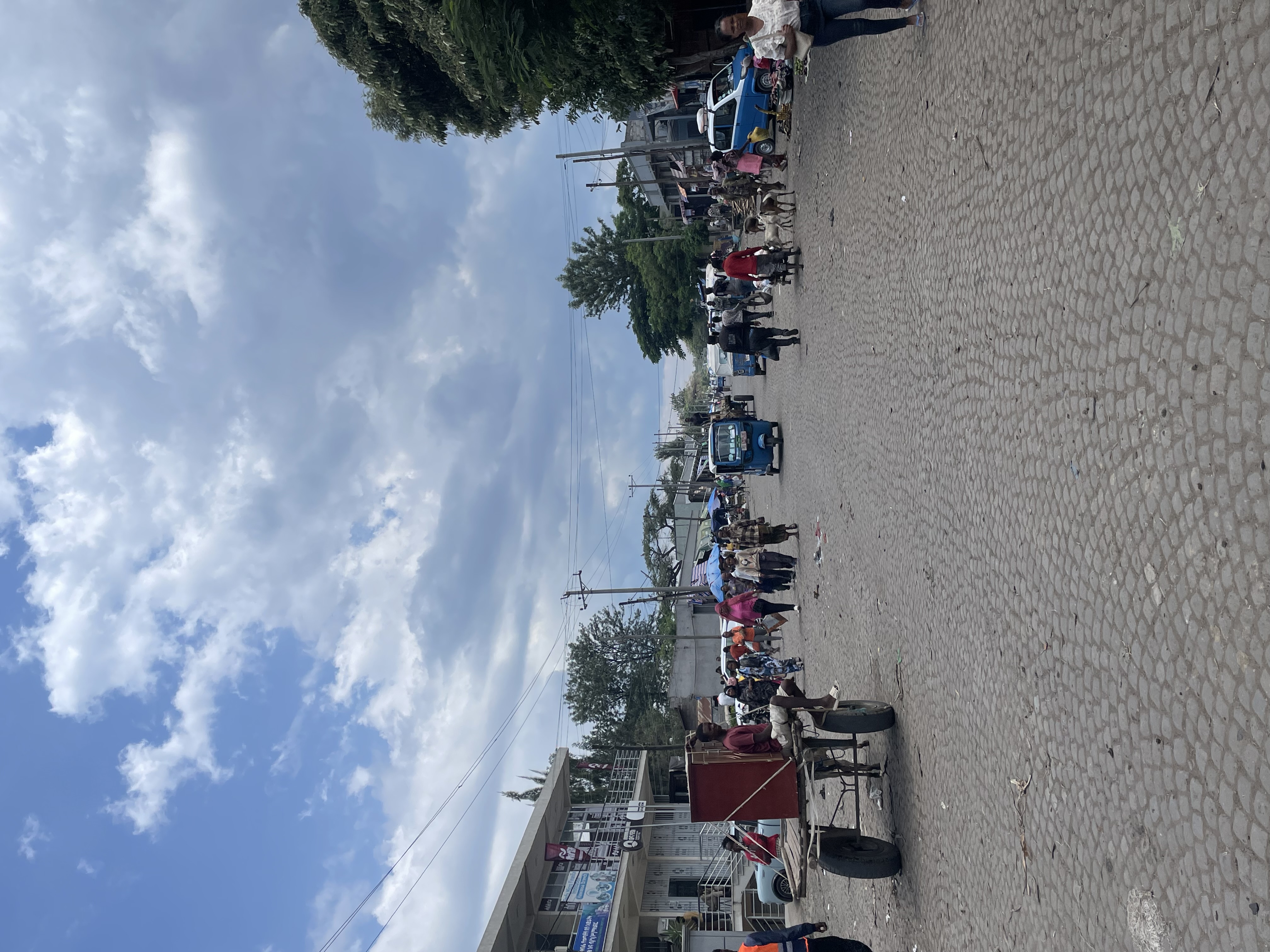 Field Research 228