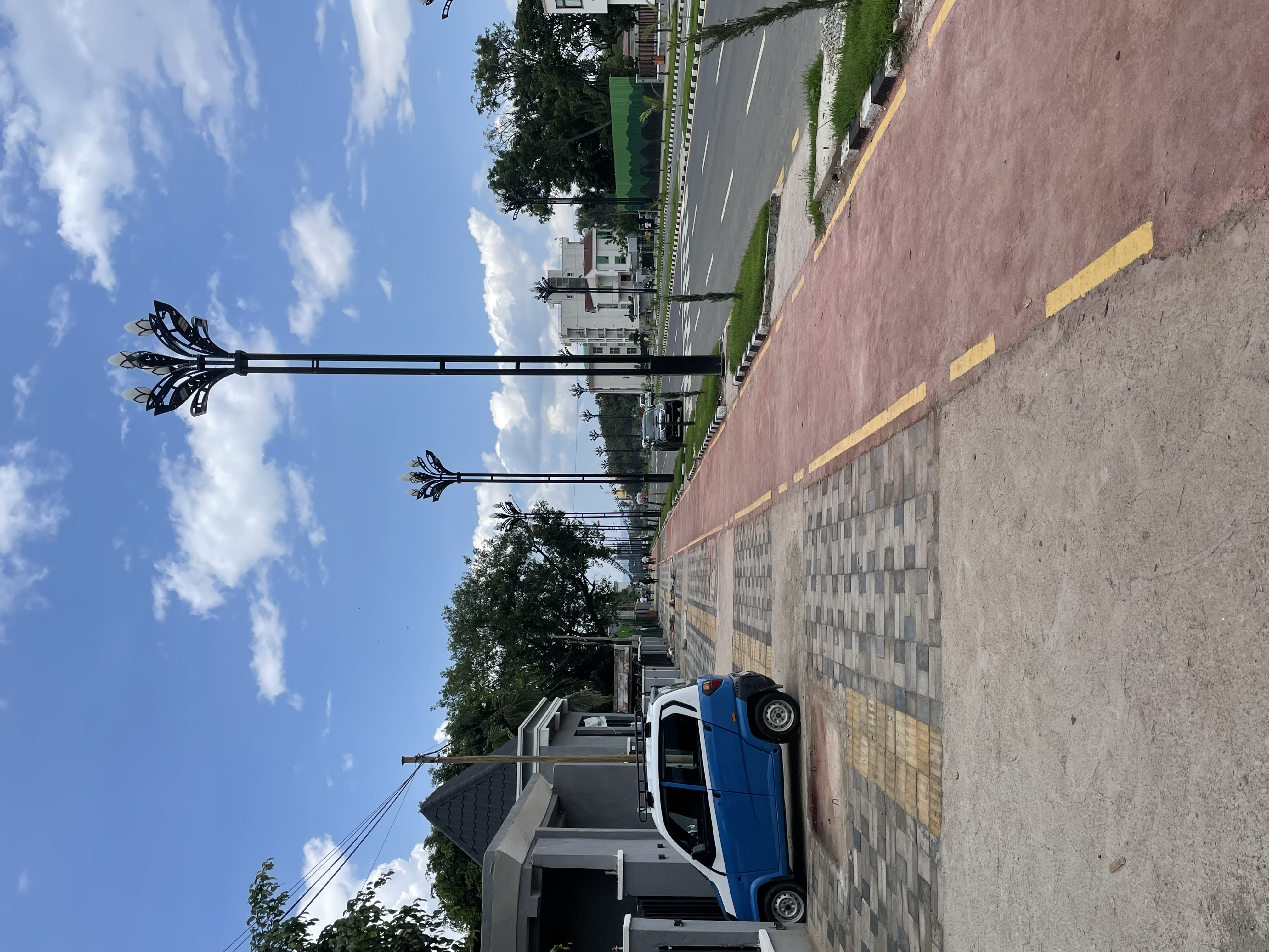 Field Research 231