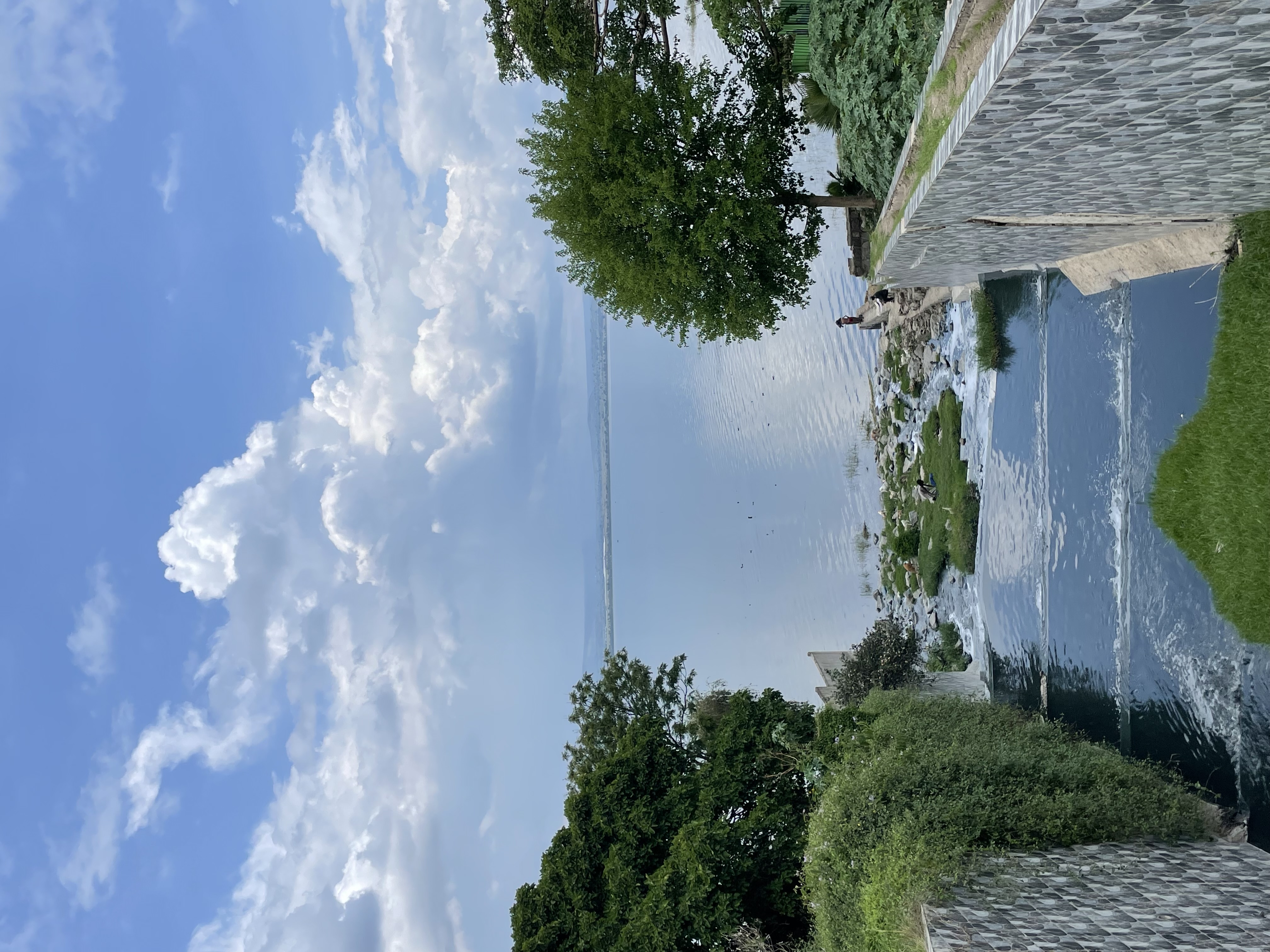 Field Research 234