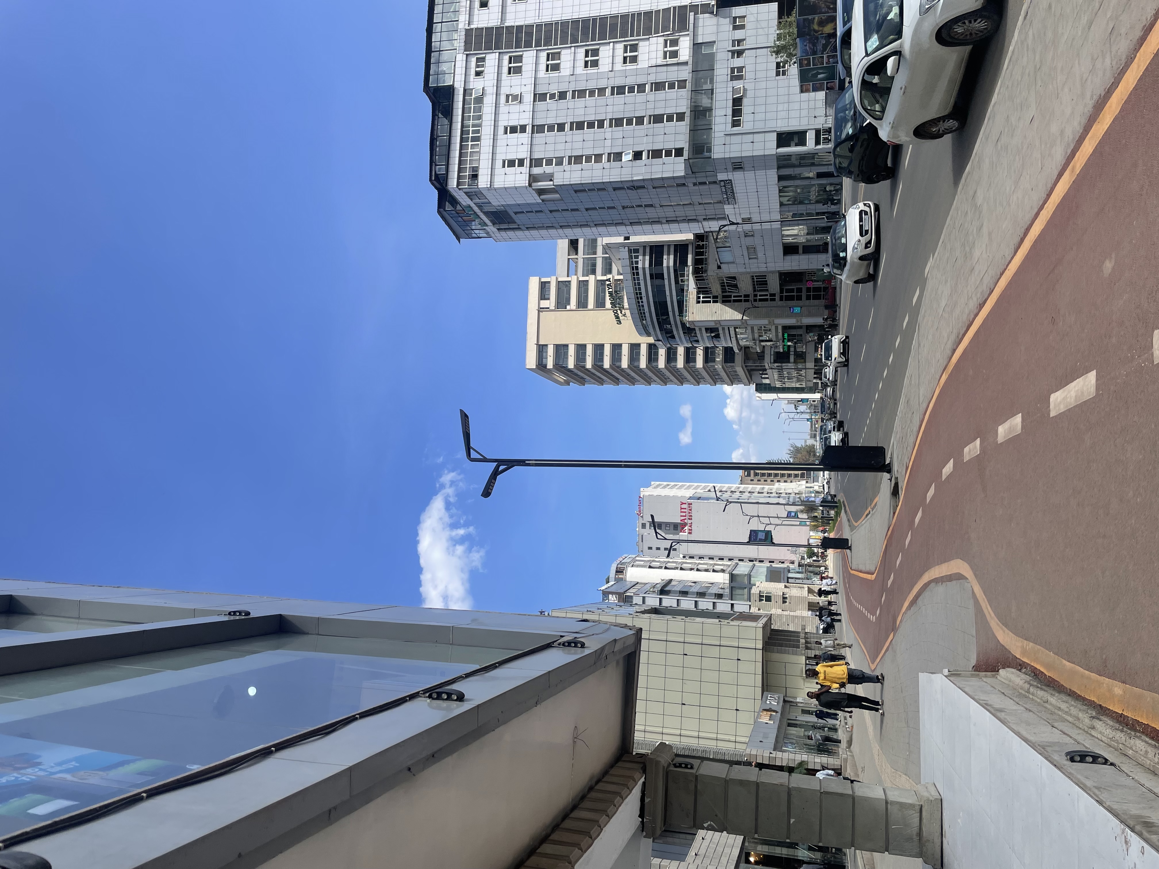 Field Research 239