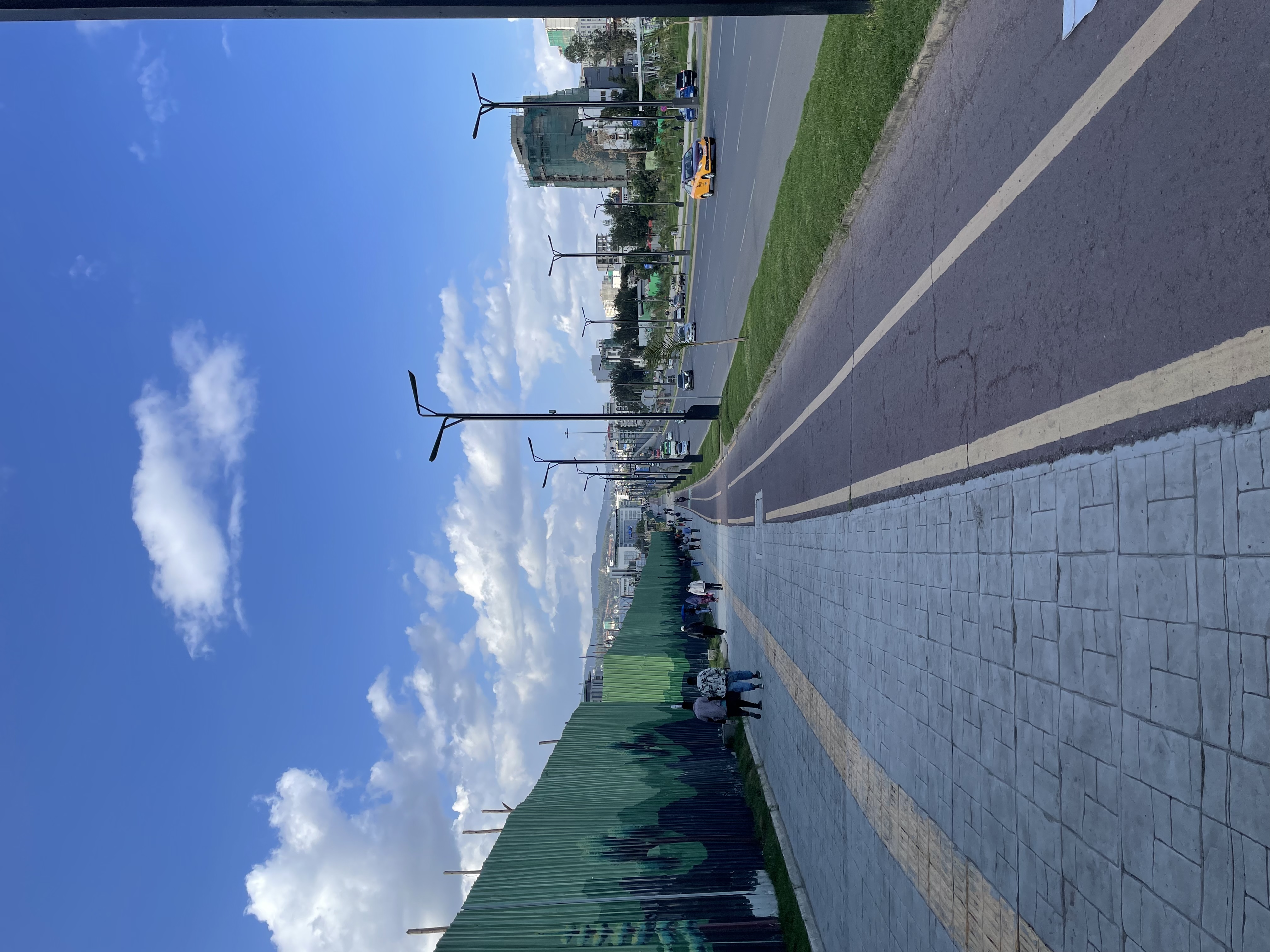 Field Research 241