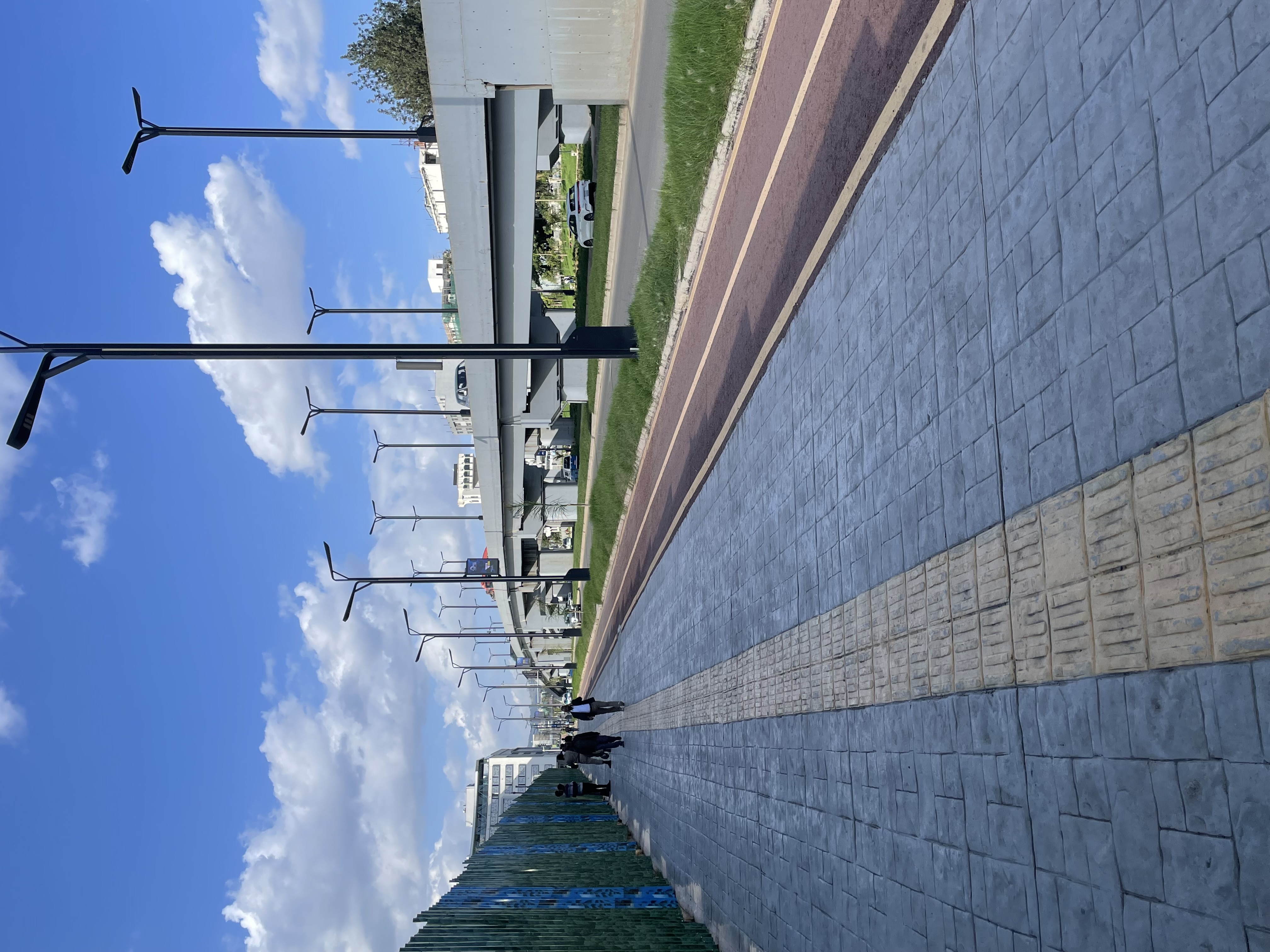 Field Research 243