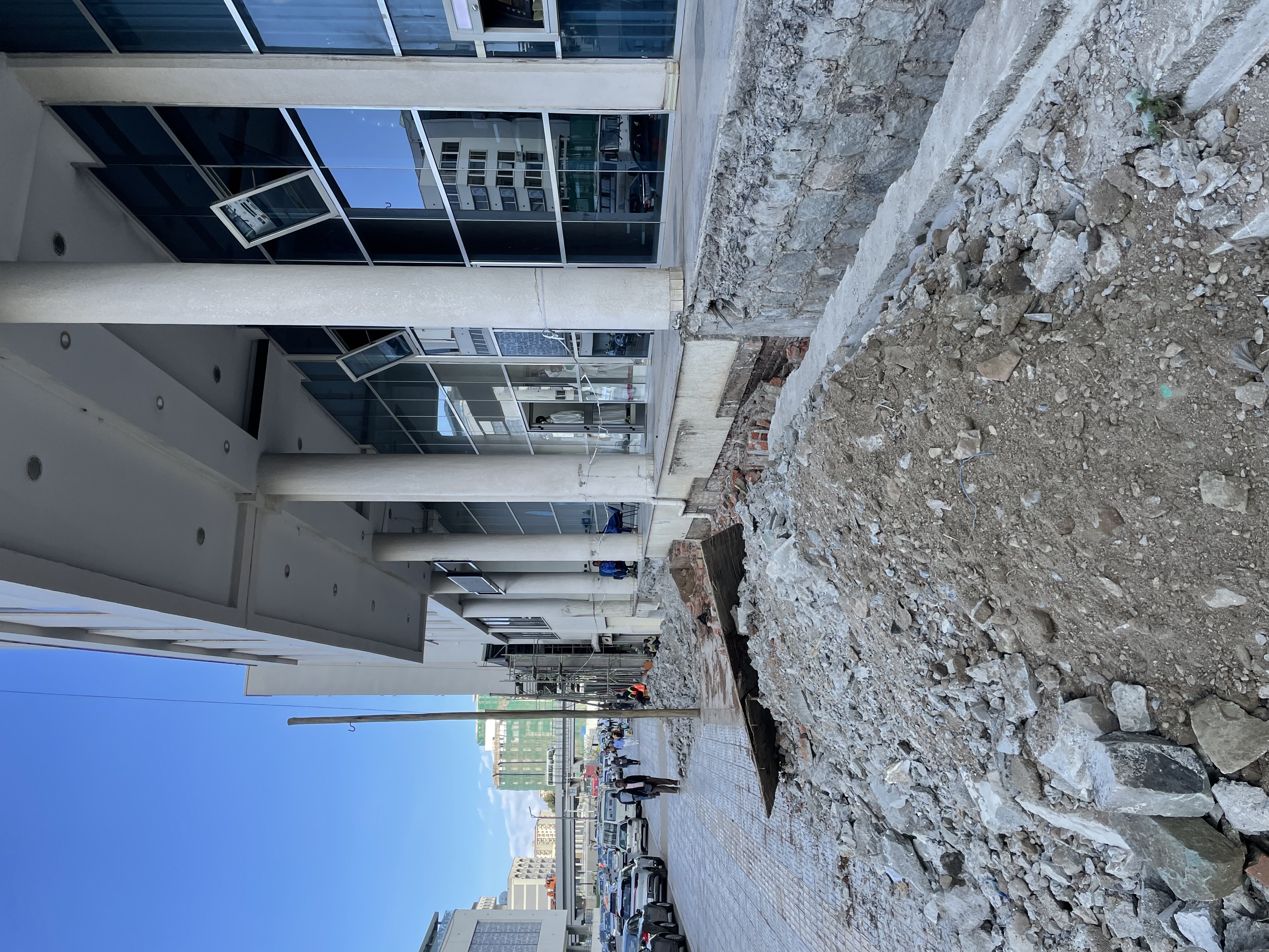 Field Research 245