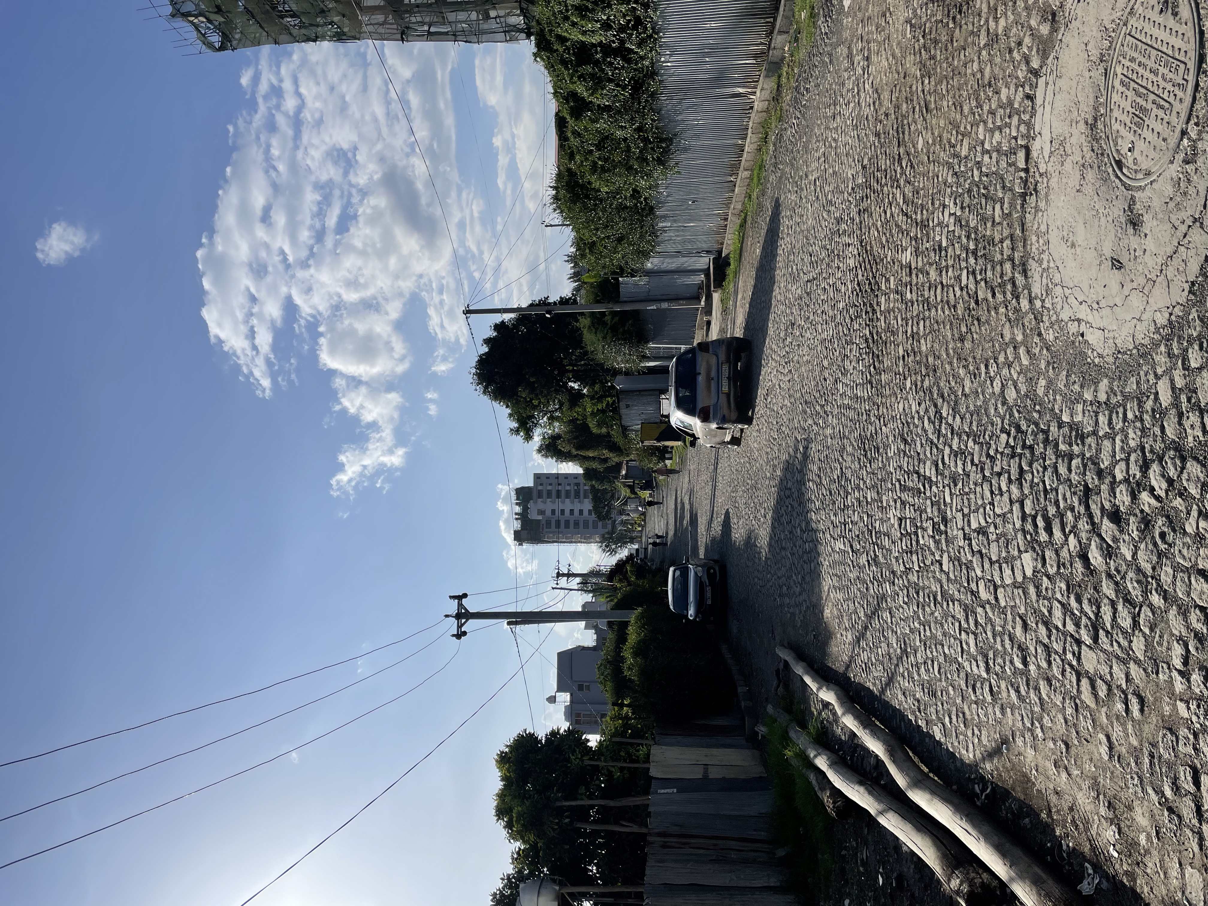 Field Research 253