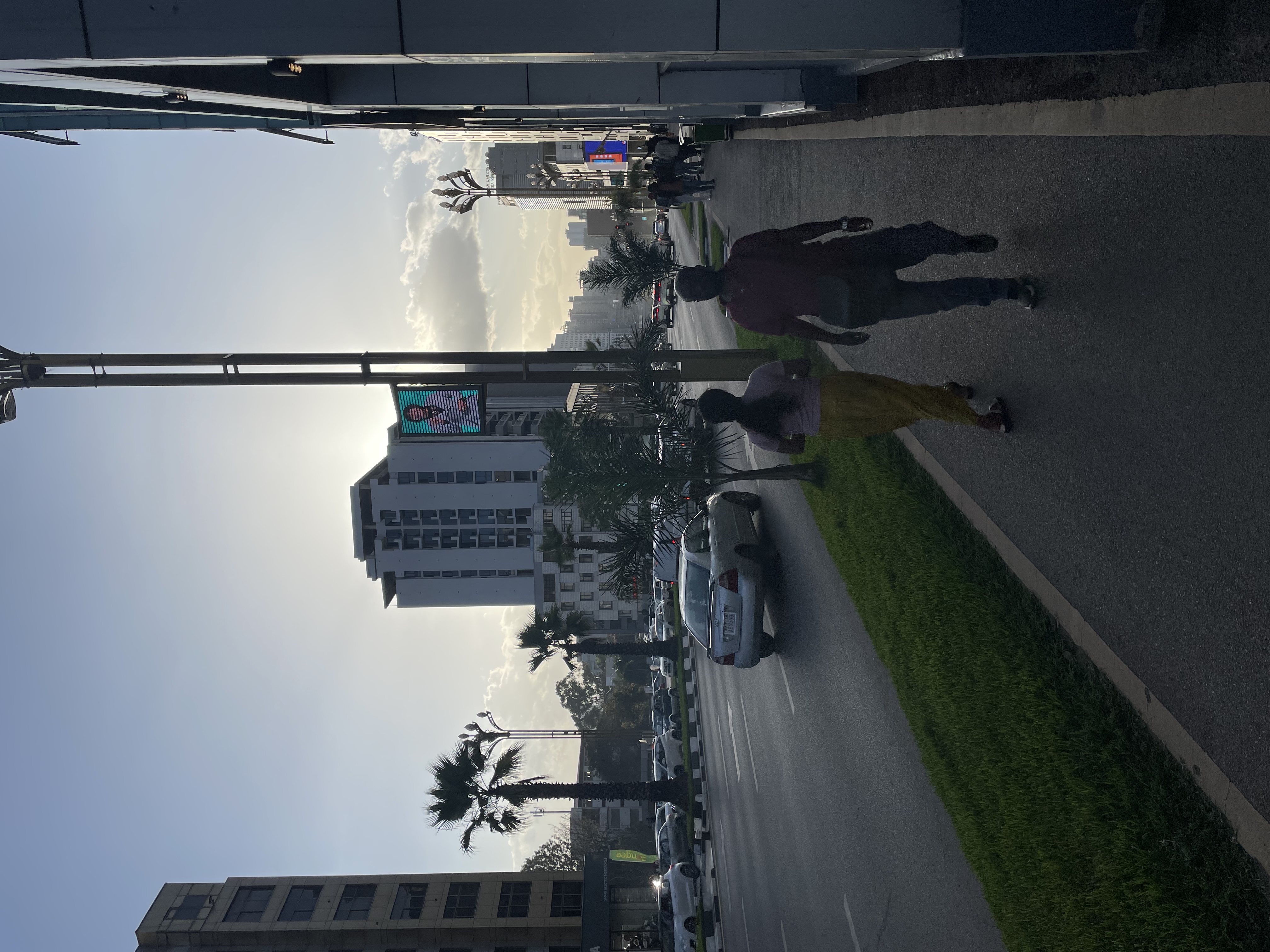 Field Research 254