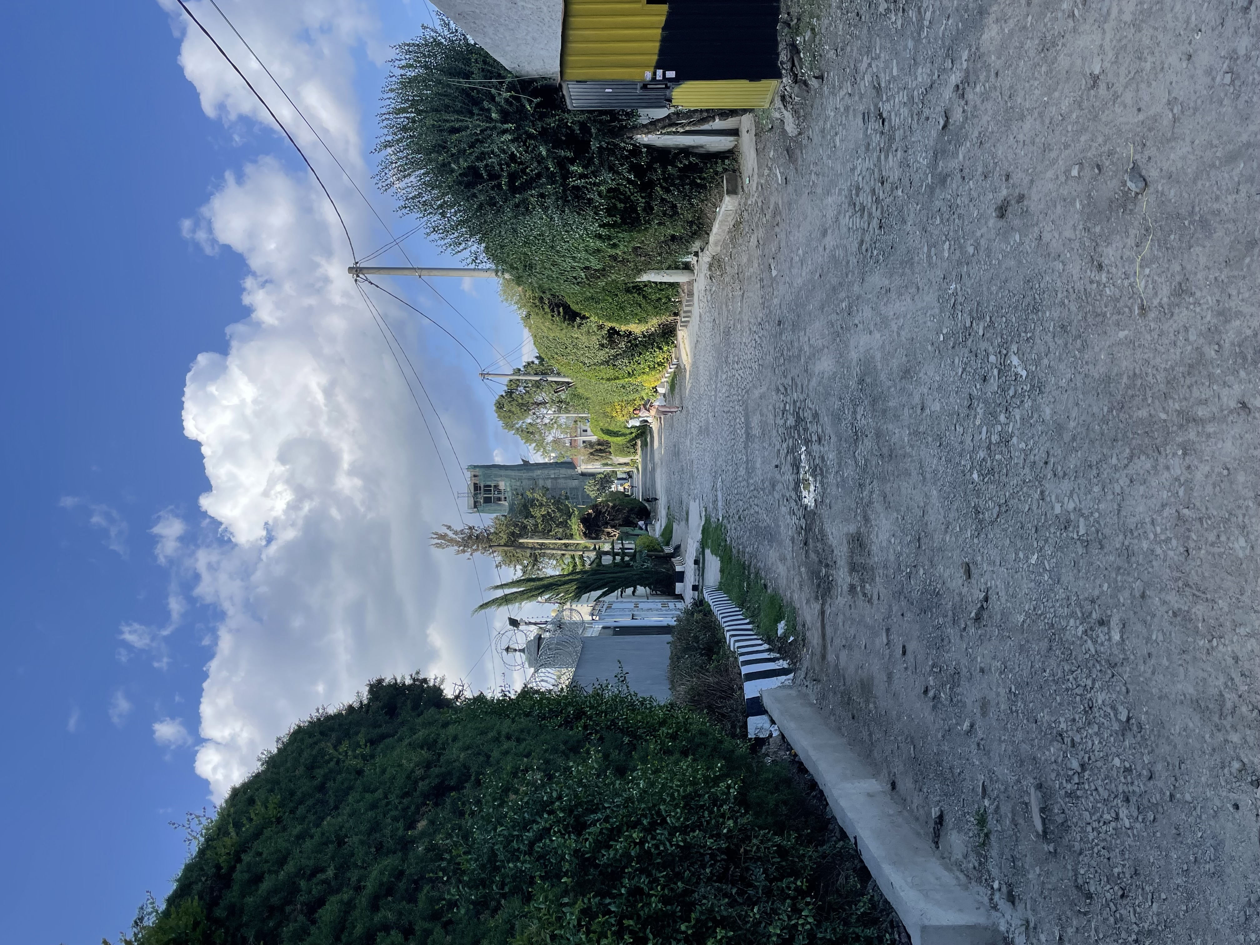 Field Research 256