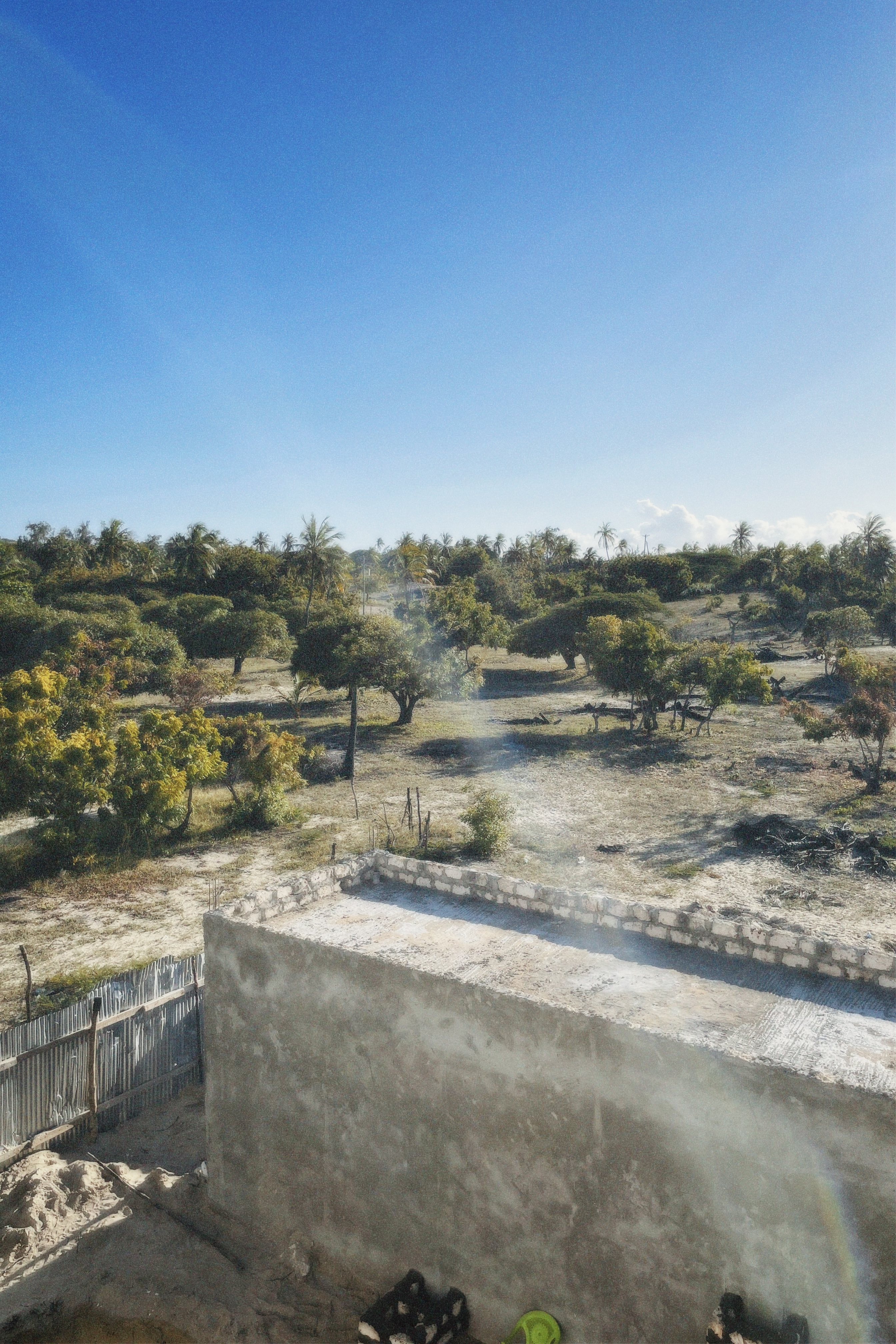 Field Research 39