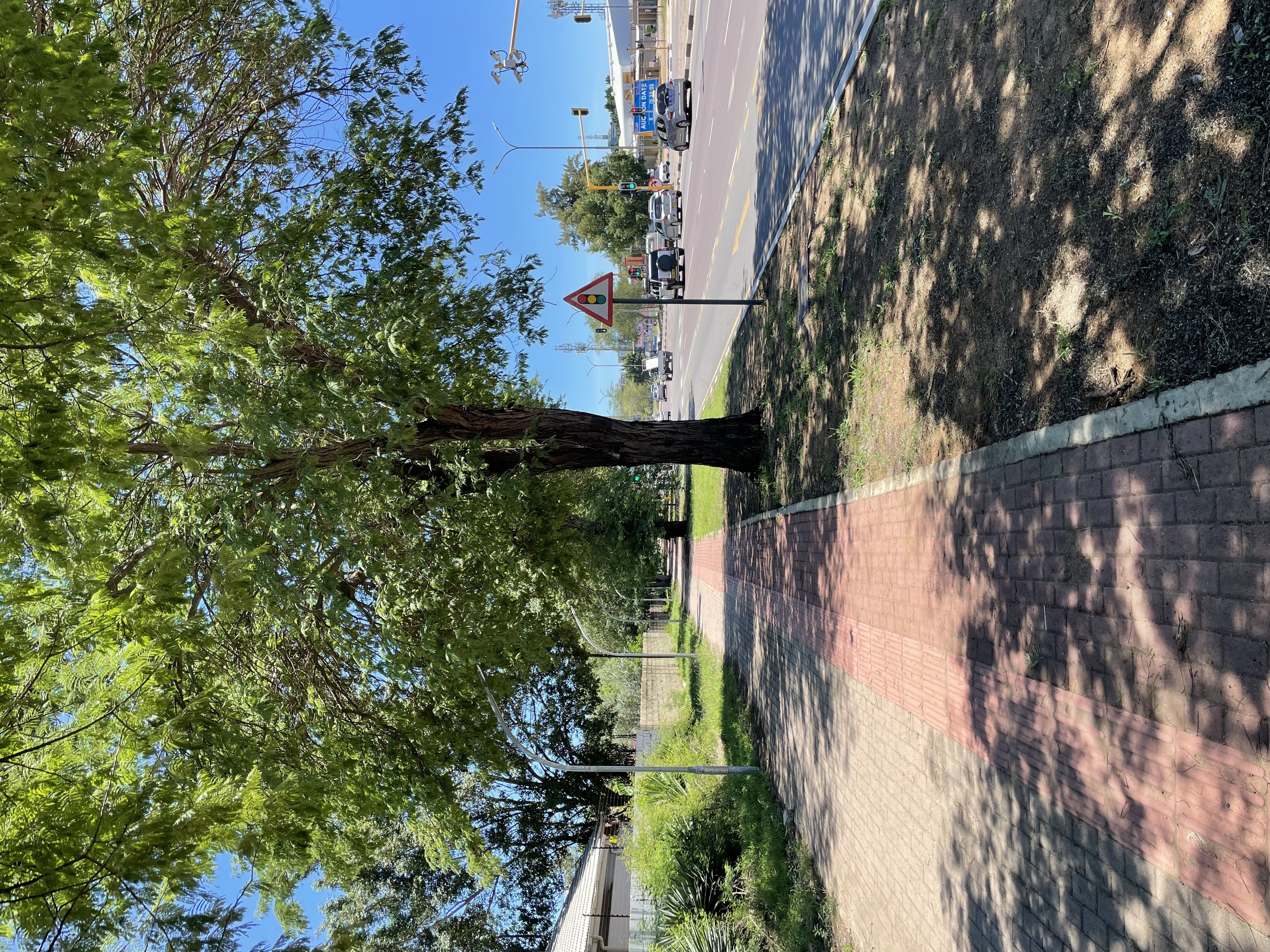 Field Research 96