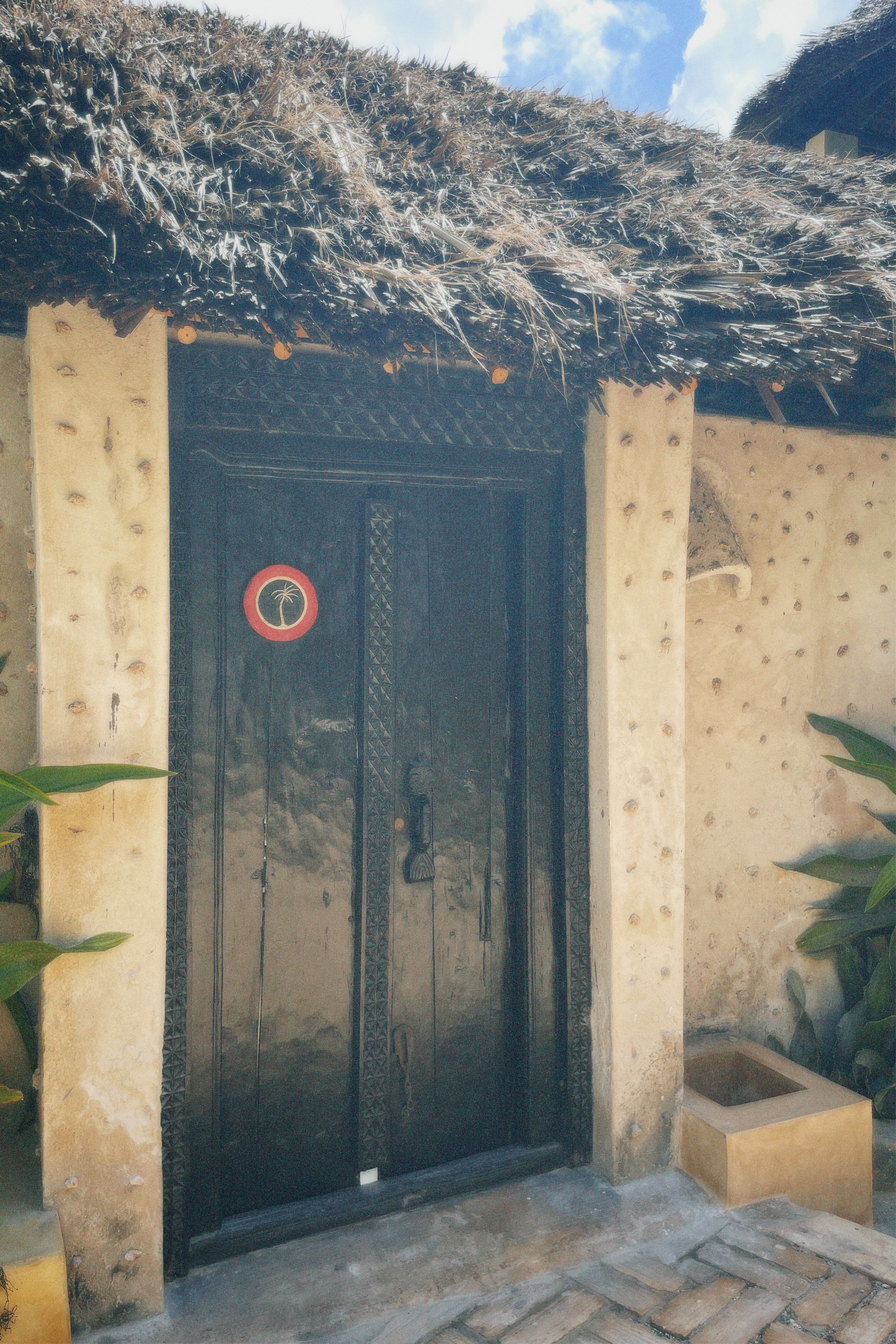 Film Photography f1 - 4