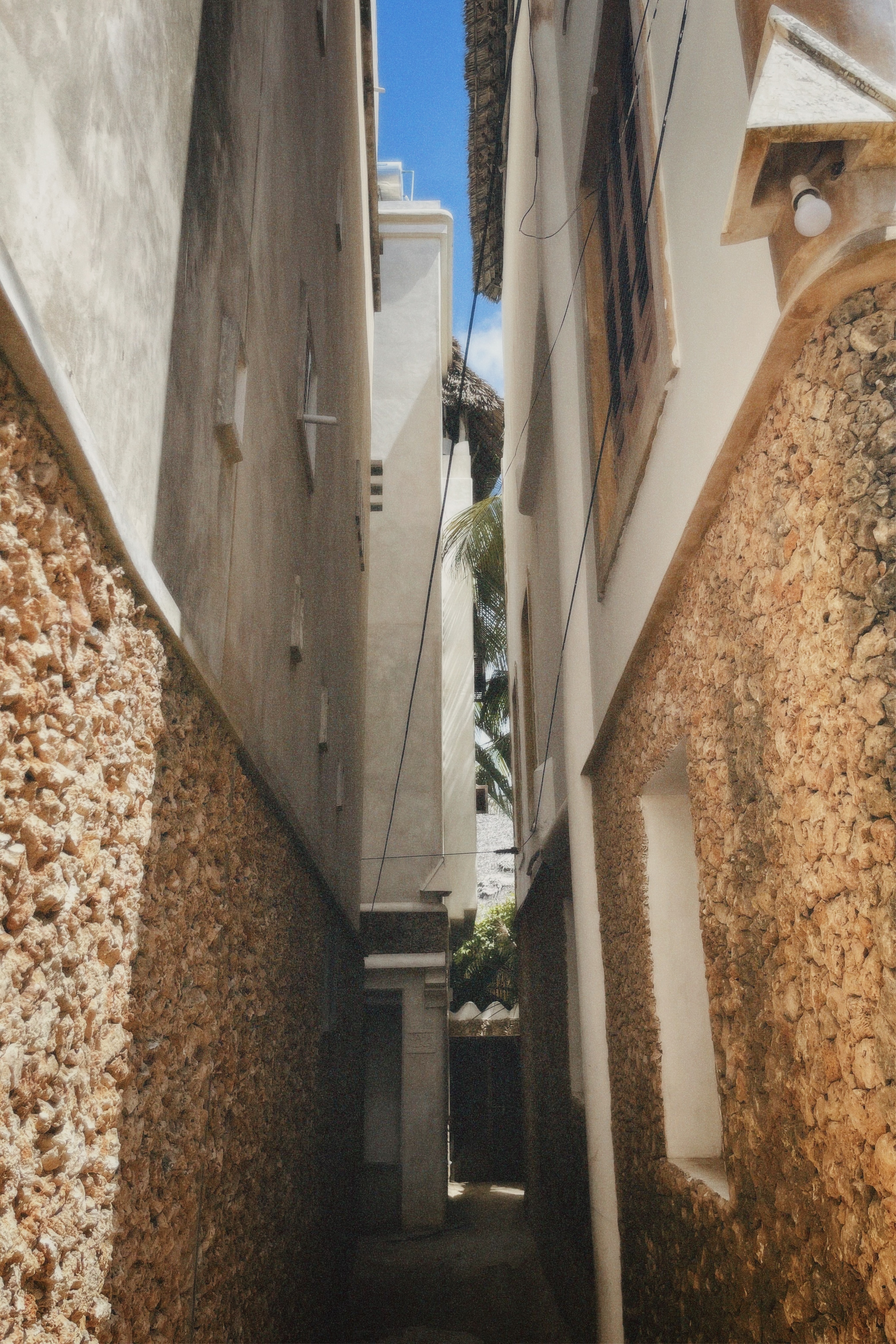 Film Photography f1 - 51
