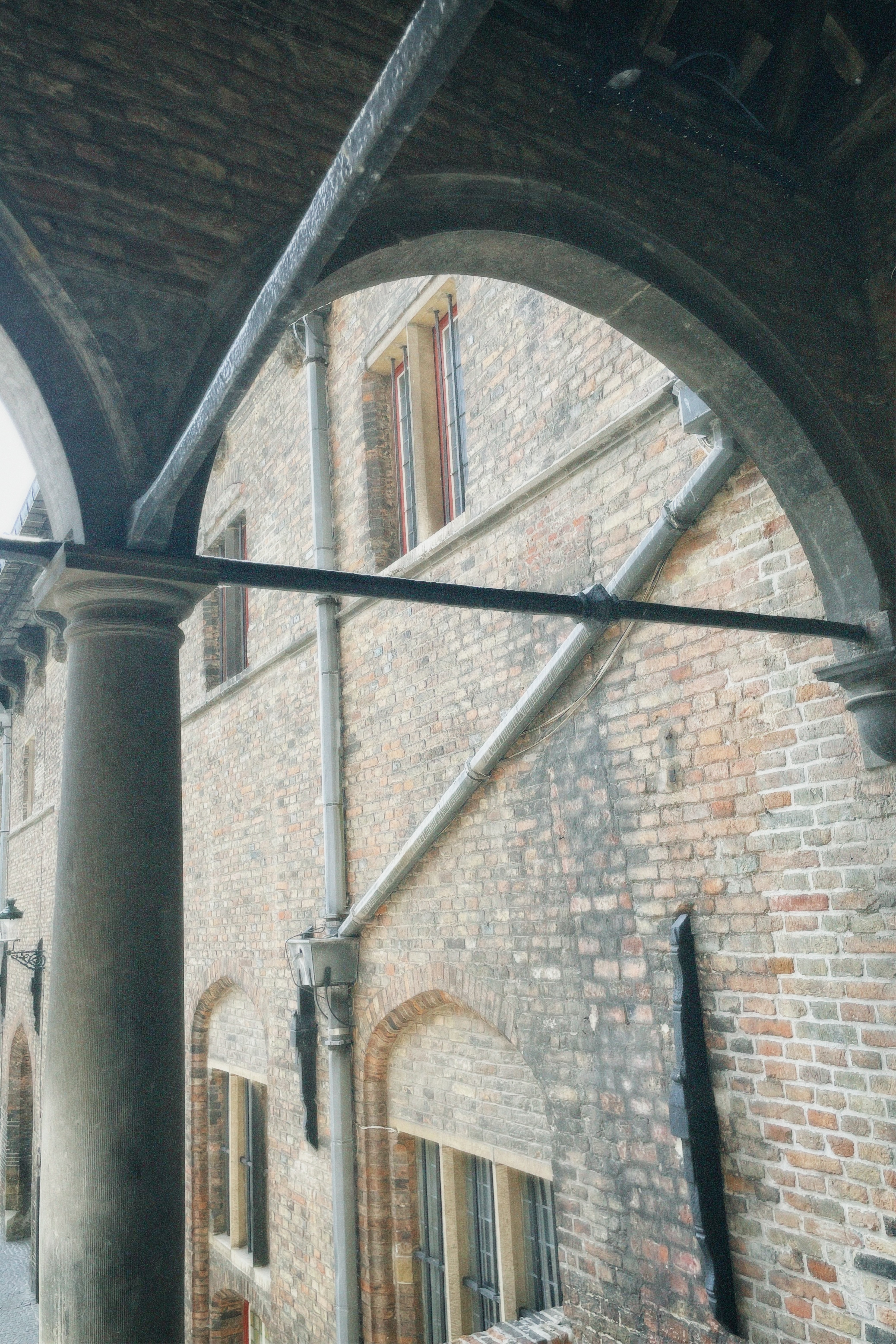 Film Photography f3 - 25