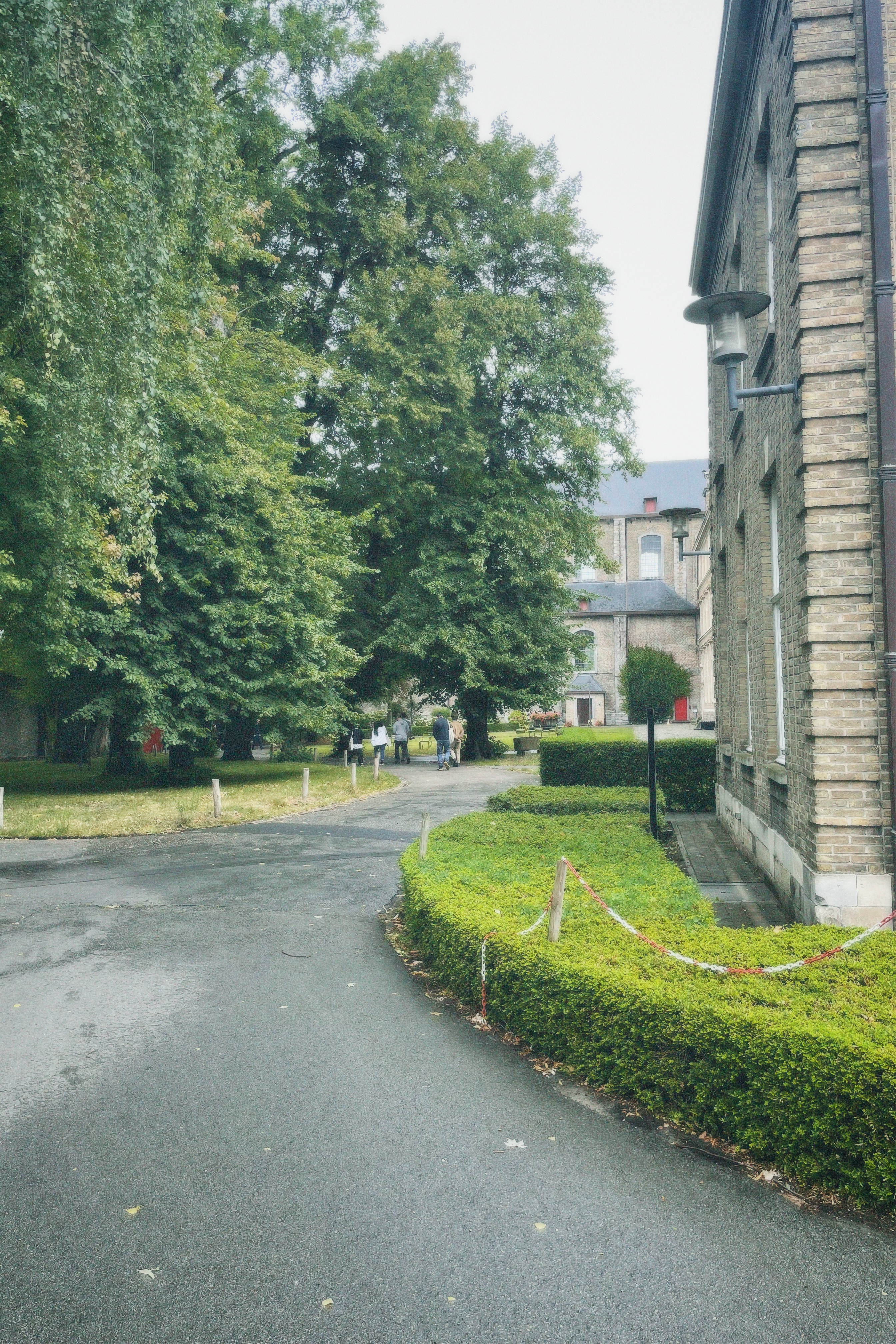 Film Photography f3 - 52